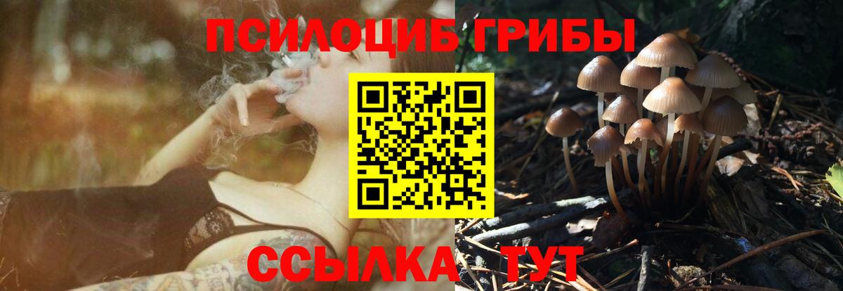 Псилоцибиновые грибы MAGIC MUSHROOMS Дербент