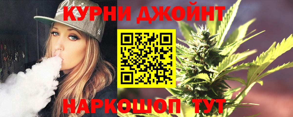 Каннабис конопля Дербент